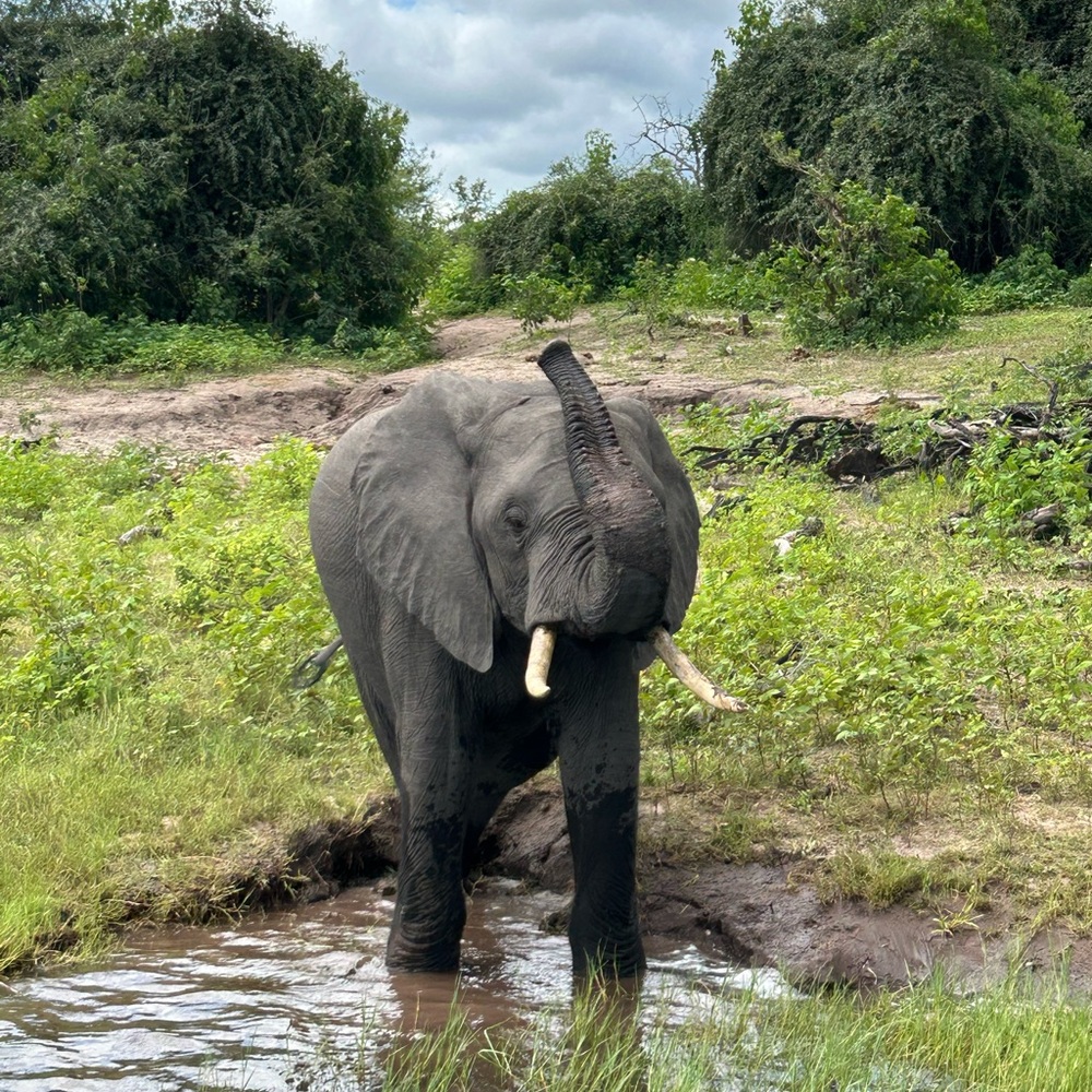Meet your Posher, Jackie